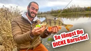Barschangeln im Herbst | Mit diesen 4 Tipps f&auml;ngst Du die Gro&szlig;en!