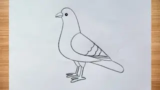 how to draw pigeon drawing easy step by step@DrawingTalent
