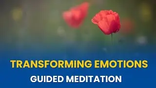 Transforming Emotions Guided Meditation By Gurudev Sri Sri Ravi Shankar