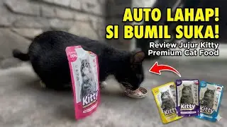 Review Kitty Premium Cat Food Kemasan Pouch | Kucing Jalanan Auto Lahap Makan ini!