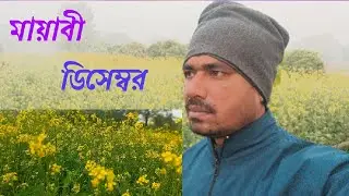মায়াবী ডিসেম্বর