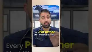 Is Minoxidil Toxic for Pets #minoxidil
