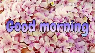 Good morning images pics photos gifs hd wallpaper for social sharing on whatsapp fb insta story