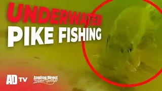 This Could Change Your Predator Fishing - Westin Explore Cam (UNDERWATER FOOTAGE)