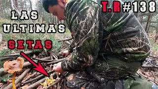 ⚠️Las ultimas SETAS del a&ntilde;o 2021&iexcl;&iexcl;  30 DE DICIEMBRE (SEGUIMOS EXPLICANDO ESPECIES)🍄