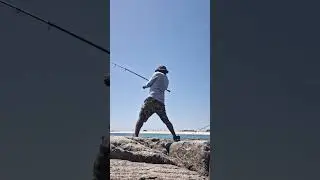 Bluefishing in Long Island..  lost one , caught another right after..  #fishing #fishingvideo #fish