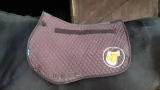 Solution Saddles SMART BlogStar - Bethan's big PRO Jump saddle review!