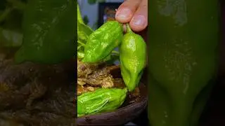 Beef Ribs🥩& innards 🥓with king chilli🌶️.      #mukbang #kingchilli #eatingshow #beef
