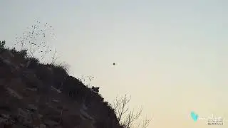 partridge hunting season 2022