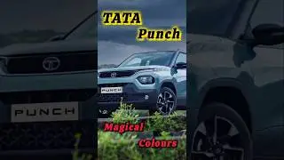 Tata Punch ❤️ Magical Colours 😍| Punch 2026 Model| #tatareview  #lowbudgetscars #automobile #2025