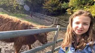 bisschen Natur im Wildpark Geising