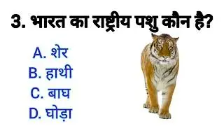 Basic questions,Gk/GS/all competitive exams questions ans answers@GkQuestionsD-j8n #sarkarinakurigk 