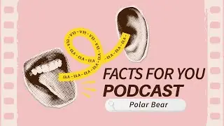 Polar Bear Secrets: The Arctic&rsquo;s Greatest Predator | Podcast