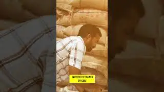 Beyond Storage: FCI's Unwavering Commitment to Food Safety || World Food Safety Day