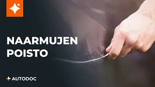 Kuinka poistaa naarmut autosta | AUTODOCin vinkit