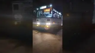 Pundi to Tekkali Pallevelugu #palasa #tekkali #apsrtc #srikakulam #andhra #busjourney #pallevelugu