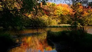 Eramosa River Fall Postcard, Guelph Canada