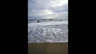 magnificent ocean clips at high tide in wild weather on Cherai Beach, Kerala! #ocean #seascape #fypシ