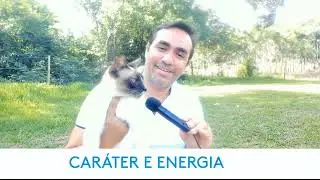 CAR&Aacute;TER E ENERGIA. #Car&aacute;ter #Energia #Parapsiquismo #Paranormalidade #Sensitivo #Sensibilidade