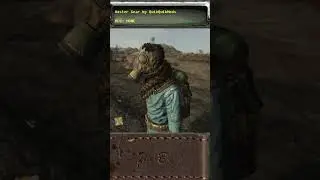 My favorite New Vegas mods right now #falloutnewvegas