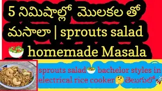 🌱 Sprout Salad Benefits మొలకలతో మసాలా సలాడ్ చేద్దామా 5MinSprout Salad 🥗| Electric Rice Cooker Recipe