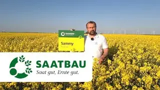 Winterk&ouml;rnerraps BIO-SAMMY