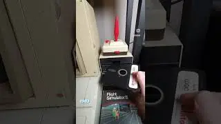 Microsoft Flight Simulator 1983