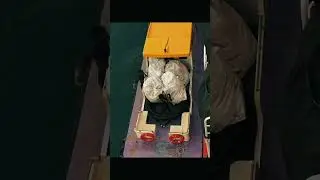 Provisions Delivery by Launcher Cargo Boat 