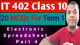 20 MCQs Electronic Spreadsheet Advanced | CBSE IT 402 Term 1 MCQ | MCQ Sharing data and worksheets