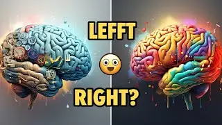 Are You Left Brained or Right Brained  Quick Test | Mind Mirror