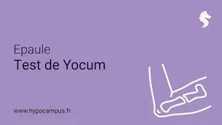 Epaule - Test de Yocum