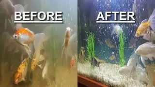 How to Clean a Fish Tank SIMPLE & EASY Cleaning Up your Fish Tank Planted Aquarium Maintenance Part1