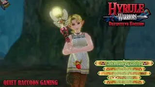 Hyrule Warriors: Definitive Edition (Switch) Request - Survival Battle with Ilia (Zelda)