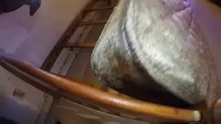 Fumigation for Bed Bugs with Vikane