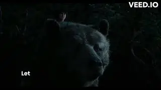 The Jungle Book (2016) - Baloo takes Mowgli to the man village/ accumulate