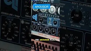 #empiricallabs not only offers hardware equipment but also software. #arousor #arousorlt #bigfreq