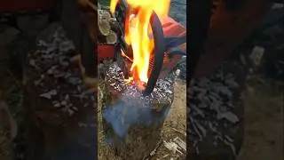 Chainsaw Catches Fire on a Stump! What Went Wrong?! #ChainsawFire #EpicFail #FireDanger
