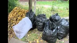 МУП 