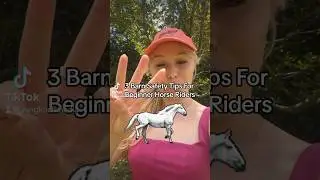 3 Barn SAFETY Tips For Beginner Horse Riders 🐴🛡️⛑️ #horseriding #equestrian #horsecare #horse