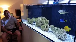 Red Sea REEFER 750 XXL. **NO MORE CLEANING FILTER SOCKS**