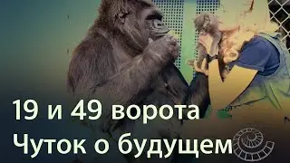 Бодиграф зоопсихолога. Дизайн человека канал 19-49