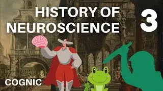 Brain Science in the Renaissance: History of Neuroscience #3