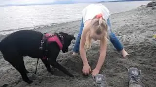 Day at the Beach - Witty's Lagoon - Vlog #57