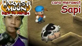 Cara Merawat Sapi - Harvest Moon Back to Nature