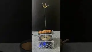 Lightning Power