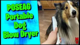 Best Dryer for Dogs? ||  Poseag Portable Dog Blow Dryer || MumblesVideos Product Review