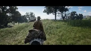 Red Dead Redemption 2 PC | 4K Ultra Realistic Graphics Showcase | The game is Insane !