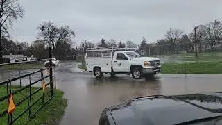 Forbes Creek 1/5/26
