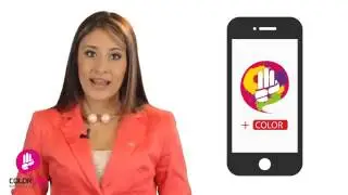 &iquest;Qu&eacute; es COLORNET 350