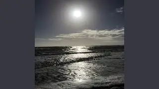 Amfv, Pt. 3 (Small Stream)